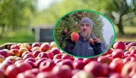 Projekt bez nazwy (94).webp