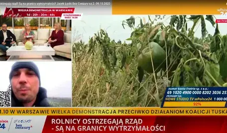 Rolnik Mariusz Borowiak opowiadał na antenie telewizji wPolsce24 o dramatycznej sytuacji, zwłaszcza tych rolników, którzy uprawiają warzywa