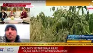 Rolnik Mariusz Borowiak opowiadał na antenie telewizji wPolsce24 o dramatycznej sytuacji, zwłaszcza tych rolników, którzy uprawiają warzywa