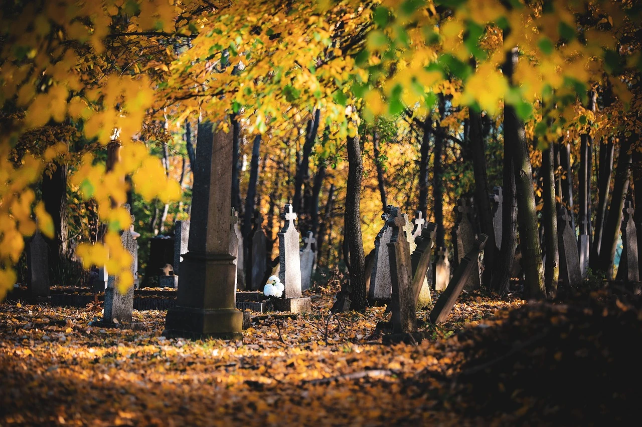 We Wszystkich Świętych będzie ciepło i słonecznie - ale gwałtownie ulegnie to zmianie