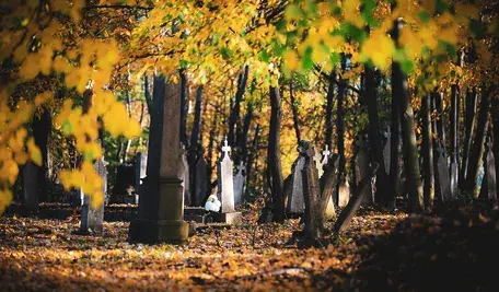 Słoneczny dzień na cmentarzu podczas Wszystkich Świętych; mieszkańcy odwiedzają groby bliskich w ciepłą, jesienną pogodę zapowiadaną przez IMGW.