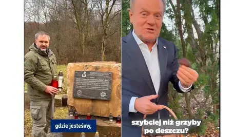 Tusk na grzybach w garniturze, Żurek pod pomnikiem w stroju na grzyby 