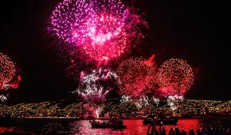 Pokaz fajerwerków symbolizujący potrzebę nowych regulacji dotyczących zakazu lub ograniczenia używania materiałów pirotechnicznych.