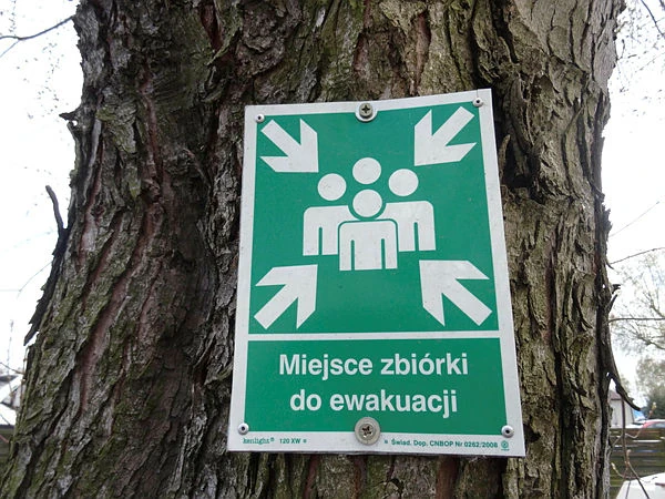 Służby postawione na nogi! Tajemnicze paczki trafiły do urzędów