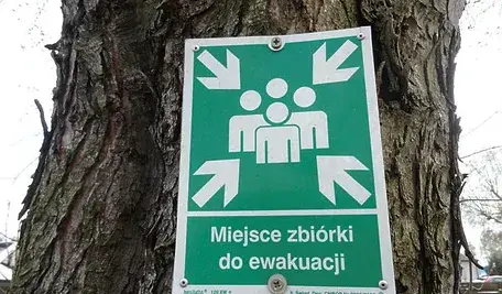Tablica informacyjna z symbolem miejsca zbiórki do ewakuacji umieszczona na pniu drzewa.
