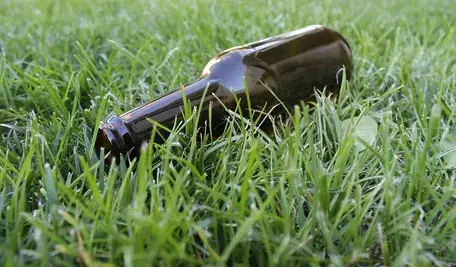 Brązowa szklana butelka leżąca w trawie