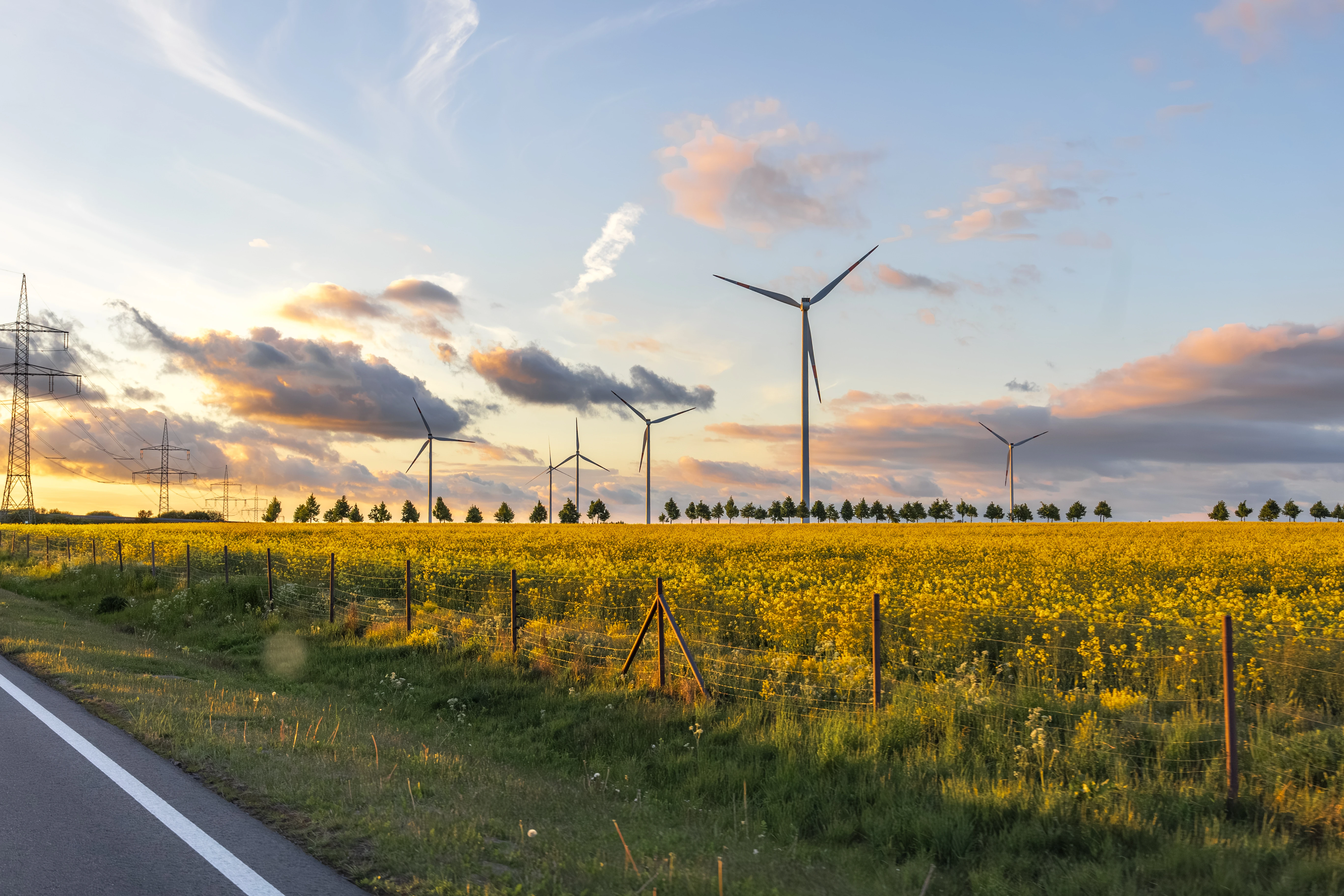 Byli liderem i złotym dzieckiem "zielonej rewolucji". Dziś piszą wprost: "Te ceny doprowadzają nas do szału"