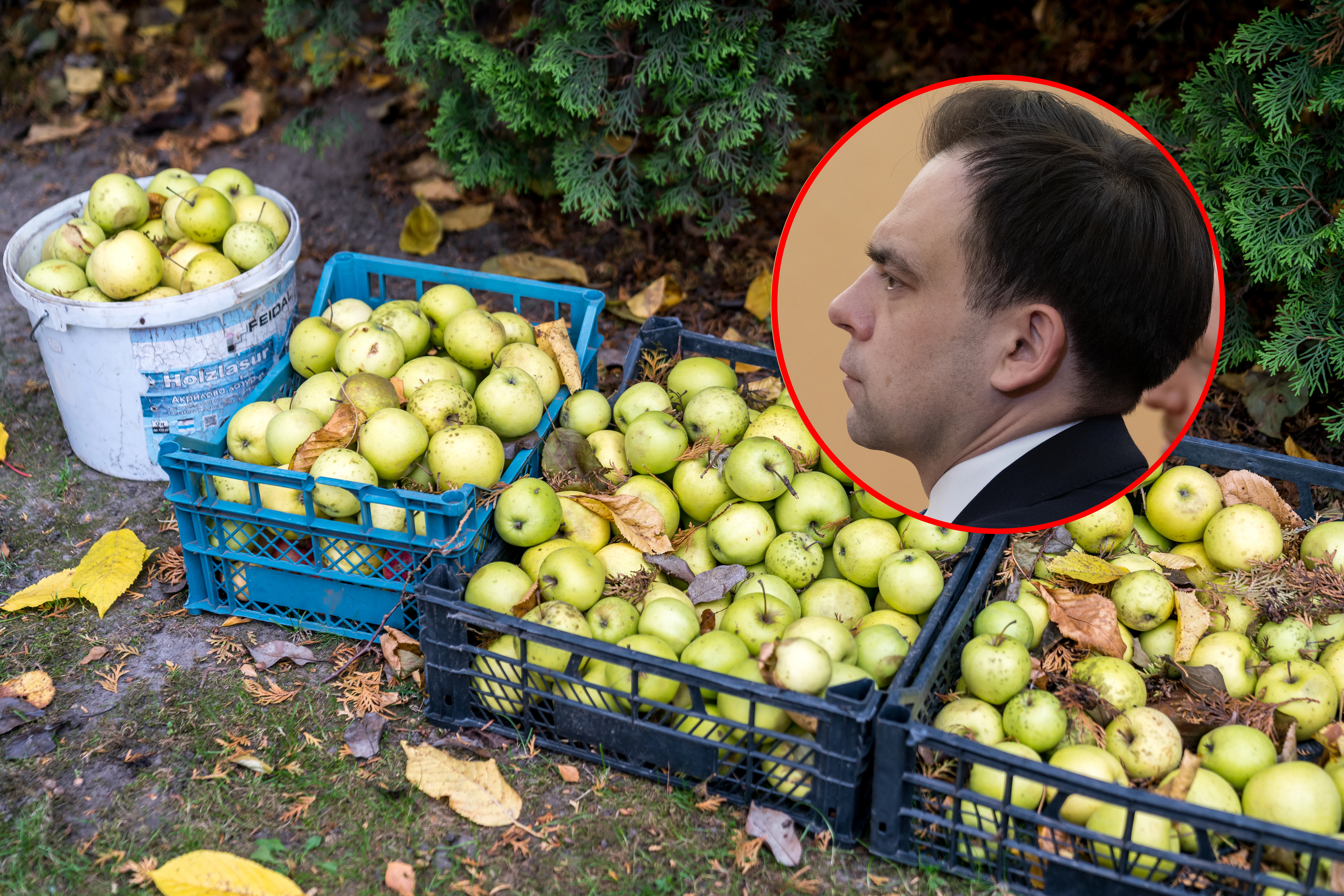 Skandal! Rolnicy zapłacą, za rozdane warzywa i owoce? Minister Domański będzie żądał zapłaty VAT od rozdanych plonów?