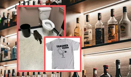 Projekt bez nazwy ok