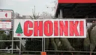 choinki