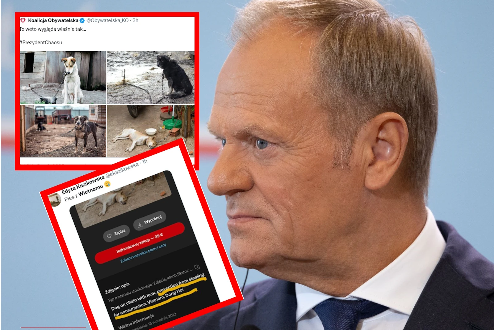 Kompromitacja ludzi Tuska. Żeby uderzyć w prezydenta straszą psami z Wietnamu!