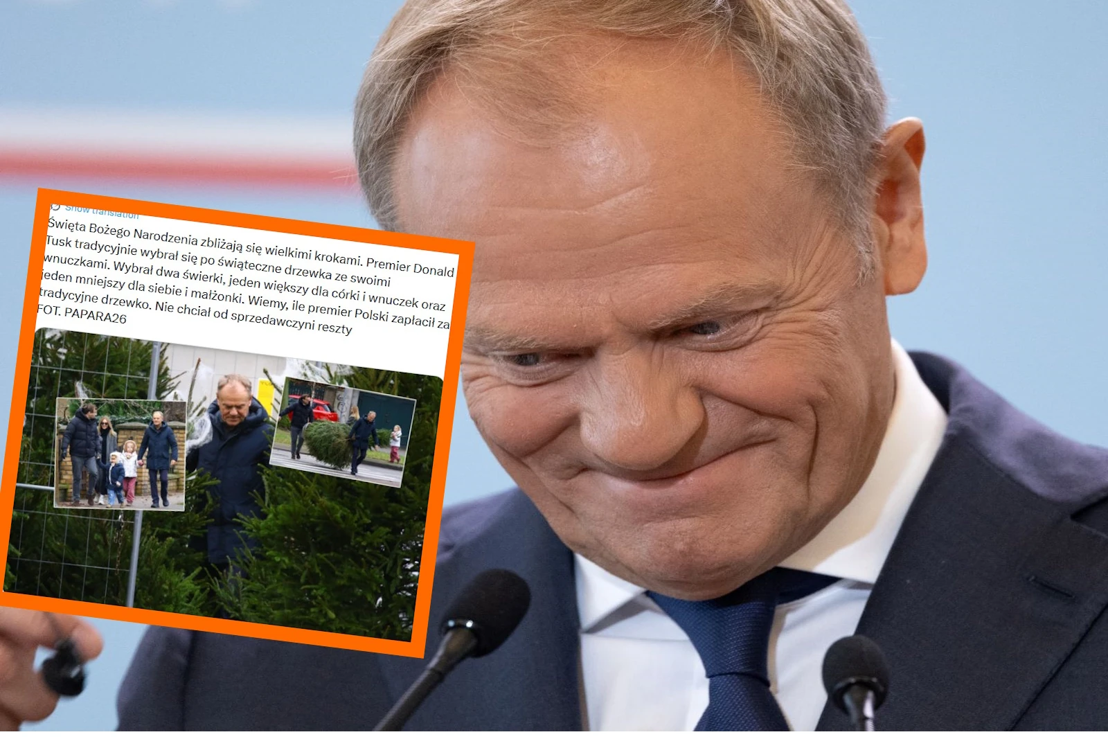 Premier i milioner wybrali się po choinkę. Tabloid zachwycony: „Tusk nie chciał reszty”