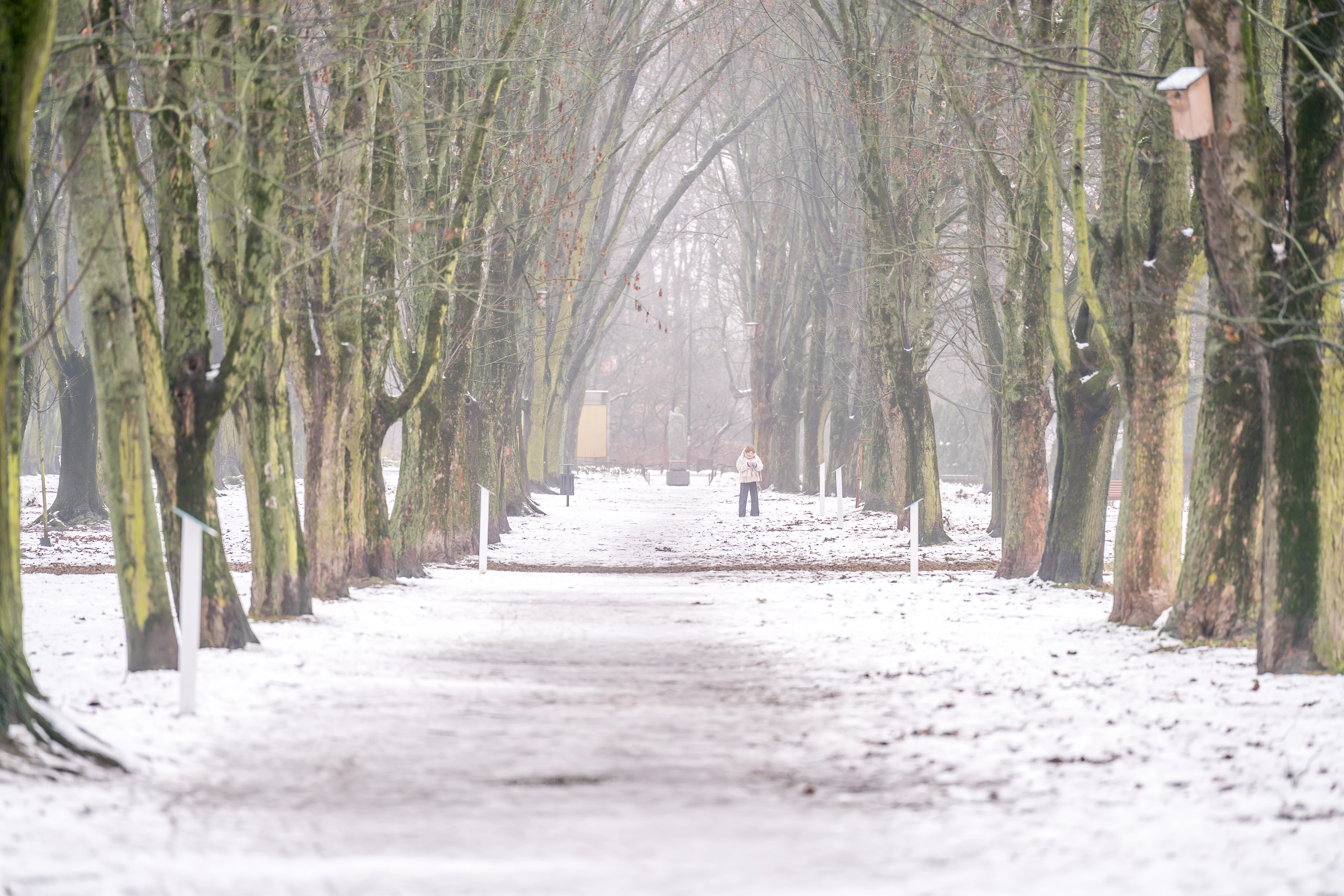 Cicha noc, mroźna noc. Sprawdzamy, gdzie w Wigilię będzie biało
