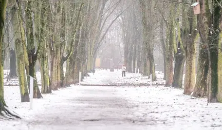 Niektórzy Polacy będą mieli mroźne i śnieżne Boże Narodzenie