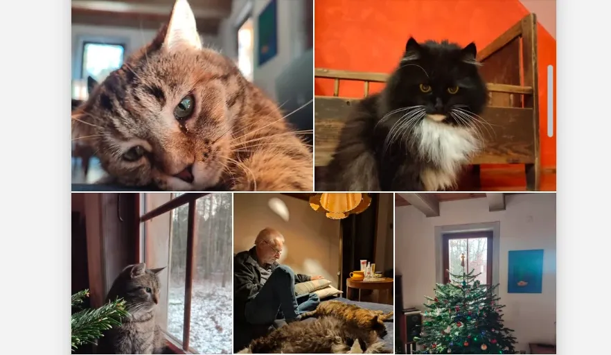 Душераздирающий призыв. Знаменитый польский журналист прощается с жизнью и просит лишь об одном