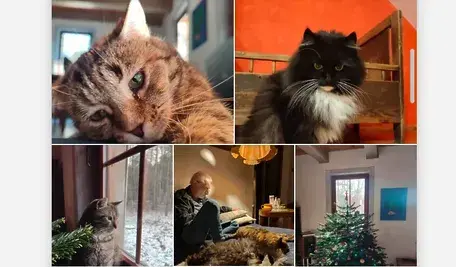 Zdjęcia, jakimi Grzegorz Lindeberg opatrzył swój wpis na Facebooku 