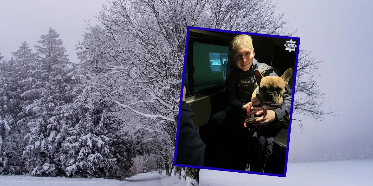 Брошенного на морозе ребенка спасают полицейские. Это зрелище захватывает сердце