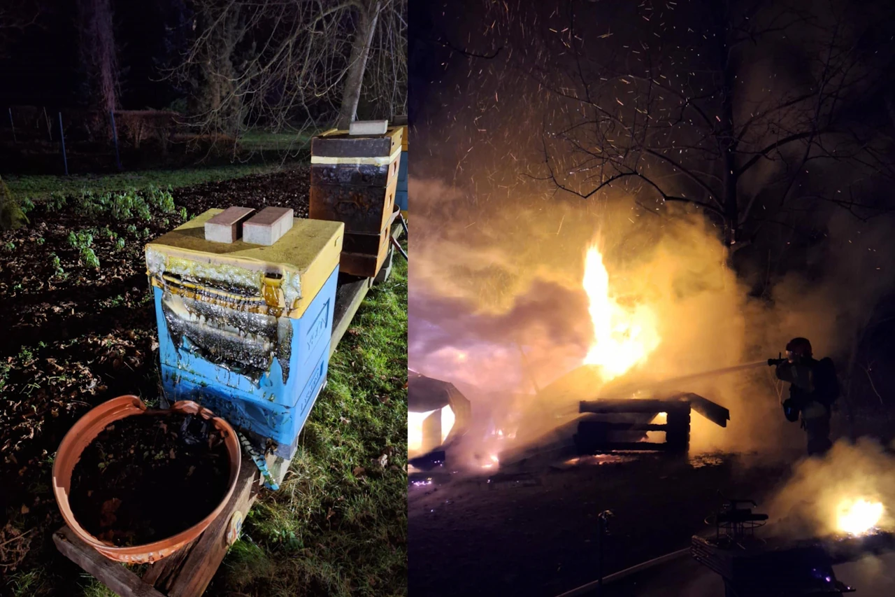Pożar inny niż wszystkie. Zagłada pszczelich rodzin - skutki będą długotrwałe