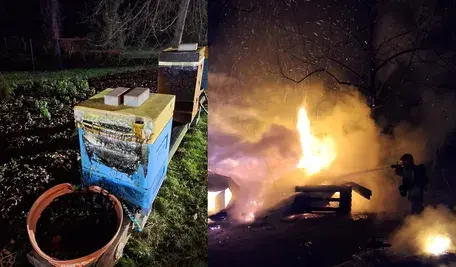 Pasieka płonęła żywym ogniem. Zimujące w ulach pszczoły nie miały szans przeżyć kataklizmu