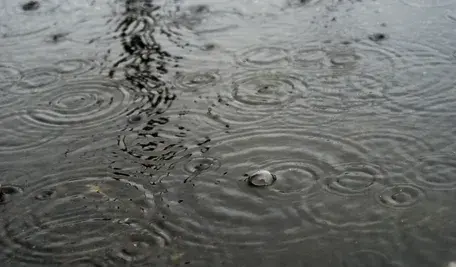 Silny wiatr, opady śniegu i zawieje śnieżne utrudniają podróż i powodują zagrożenie na północy Polski pod koniec grudnia.