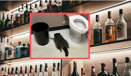 Projekt bez nazwy ok