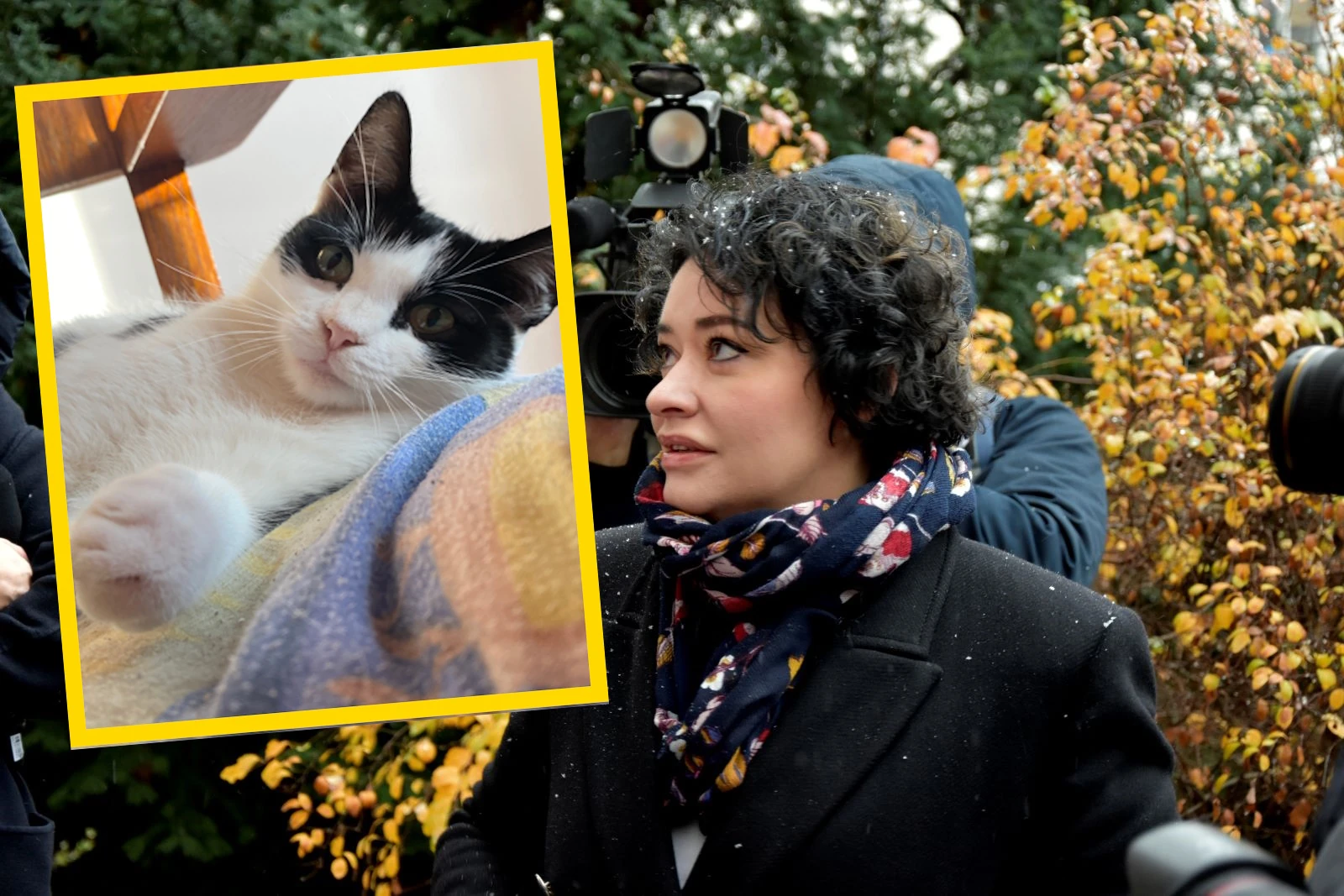Liderka lewicy chce zakazu wypuszczania kotów! Czym jej zawiniły? „Mordują pisklaczki i krzyżują się ze żbikami”