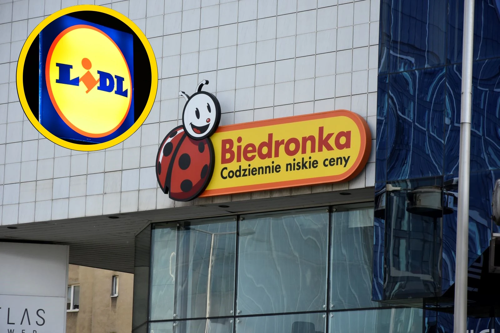 Ile naprawdę zarabia się w Biedronce? Duże zmiany w sieci handlowej od nowego roku, porównali pensje z Lidlem