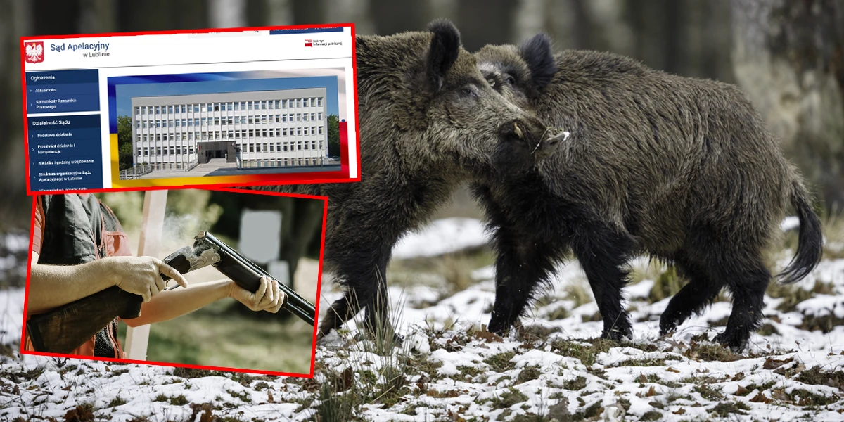 Syn znanego biznesmena zastrzelił człowieka, bo... pomylił go z dzikiem. Teraz wyszedł na wolność, bo ojciec wpłacił kaucję