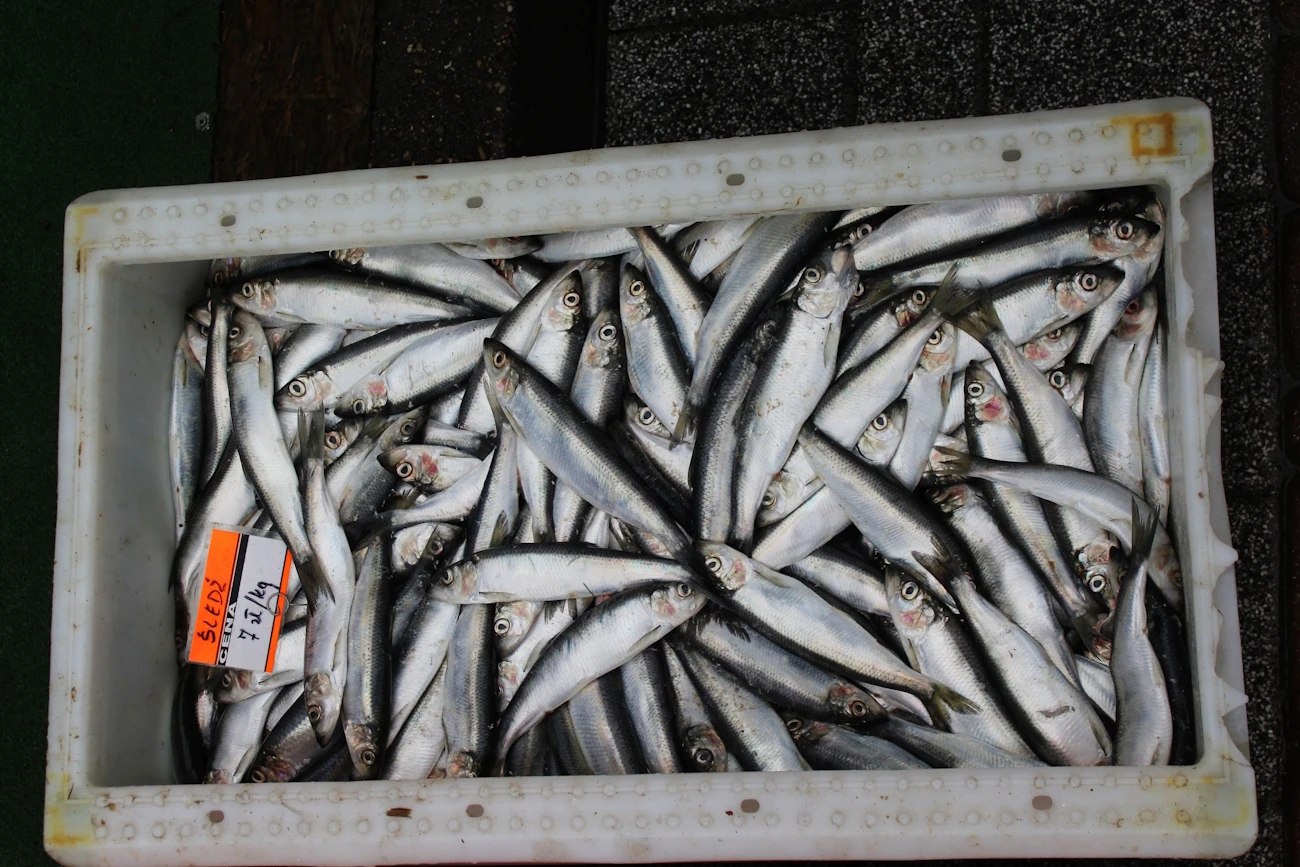 Aż trudno w to uwierzyć! Tylko 10 proc. Polaków nie jada tych ryb