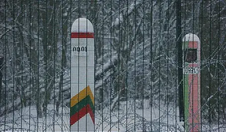 Słupki graniczne na granicy litewsko-białoruskiej wzdłuż leśnego odcinka granicy