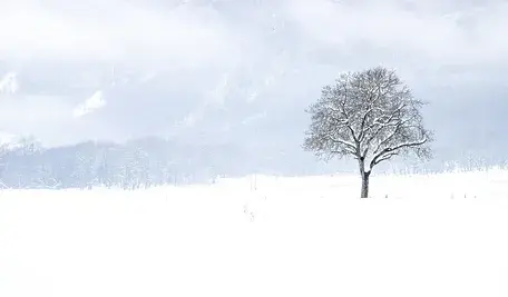 snow-5914604_1280.webp