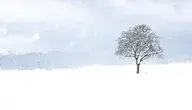 snow-5914604_1280.webp
