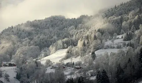 snow-4839482_1280.webp
