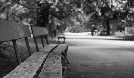 bench-2638592_1280.webp