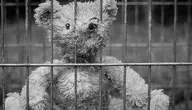 teddy-2711675_1280.webp