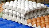eggs-2662880_1280.webp