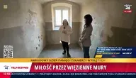videoframe_15788.webp