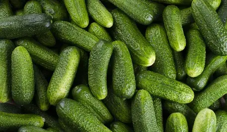 vegetables-6752345_1280.webp