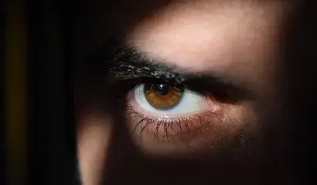 eye-2488227_1280 (2).webp