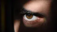 eye-2488227_1280 (2).webp