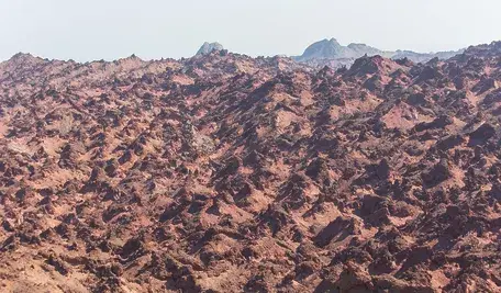 nature-6811739_1280.webp