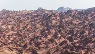 nature-6811739_1280.webp