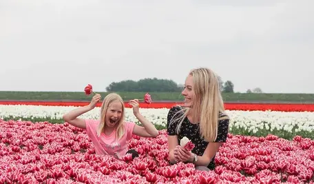 spring-5060756_1280.webp