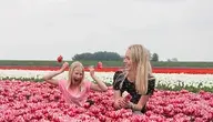 spring-5060756_1280.webp