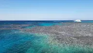 coral-reefs-5970427_1280.webp