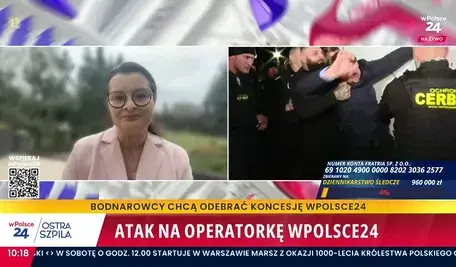 videoframe_183819.webp