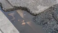 AS_DSC05536_20210313.webp