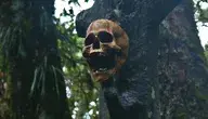 skull-2825606_1280.webp