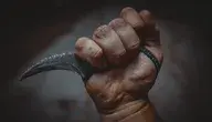 karambit-5587739_1280.webp