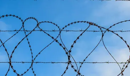 barbed-wire-3209941_1280.webp